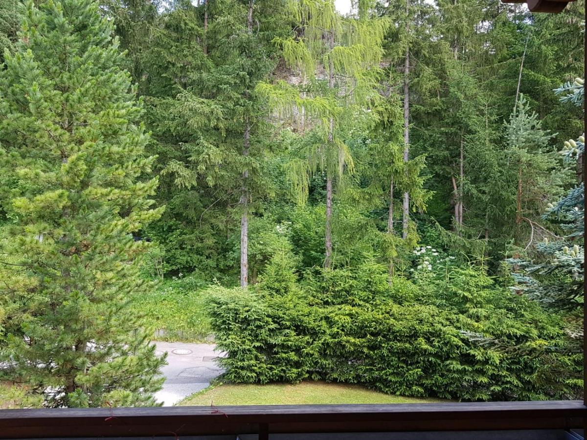 Pelegrin 15 Apartman San Vigilio Di Marebbe Kültér fotó