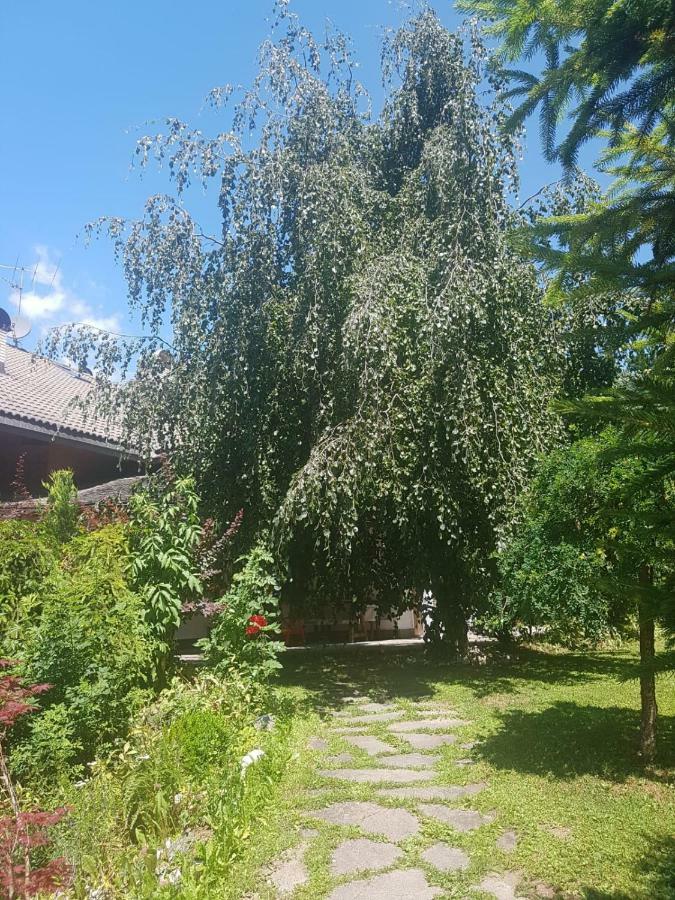 Pelegrin 15 Apartman San Vigilio Di Marebbe Kültér fotó
